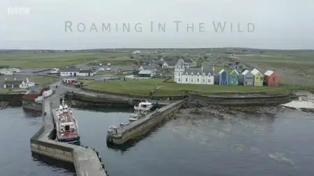 BBC - Roaming in the Wild: Corner to Corner (2019)