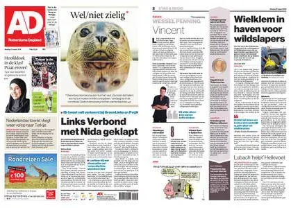 Algemeen Dagblad - Hoeksche Waard – 13 maart 2018
