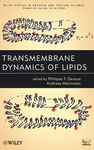 Transmembrane Dynamics of Lipids