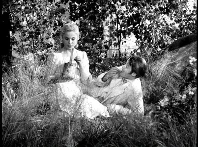 Wild Strawberries (Criterion edition) subs spanish added