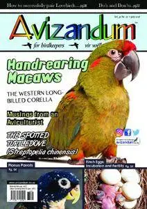 Avizandum – July 2018