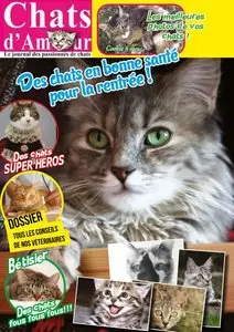 Chats d'Amour - Septembre-Octobre 2015