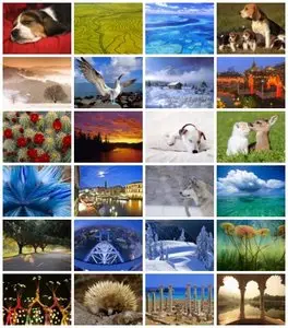 Webshots - Daily Photos (01/2012) - High Quality (1600x1200) & Wide Screen (1920x1080)