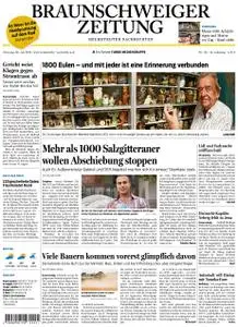 Braunschweiger Zeitung - Helmstedter Nachrichten - 30. Juli 2019