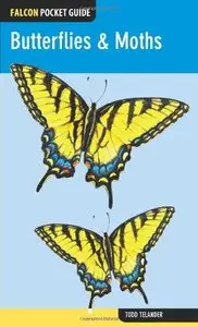 Falcon Pocket Guide: Butterflies & Moths (repost)