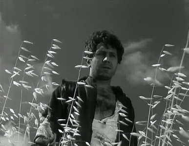 O Trigo e o Joio / The Wheat and the Tares (1965)