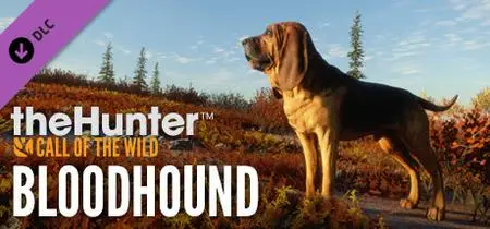 theHunter Call of the Wild Bloodhound (2021)