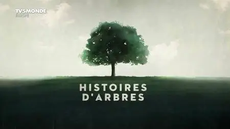 TV5Monde - Histoires d'Arbres (2015)