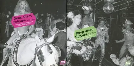 VA - Deep Disco Culture (2 Volumes) (2006/7)