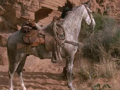 Bite the Bullet (1975)