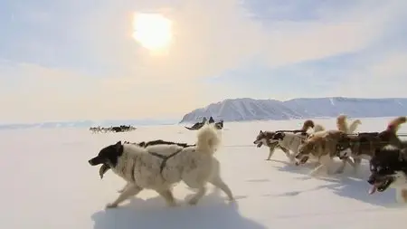 BBC - Arctic with Bruce Parry