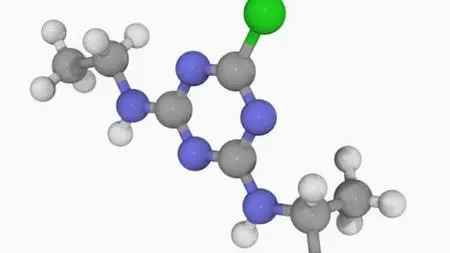 Teaching Chemistry For All Grades Including Ms And Phd Schol