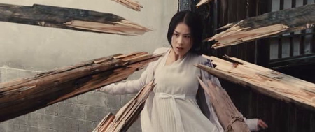 The Sorcerer and the White Snake (2011)