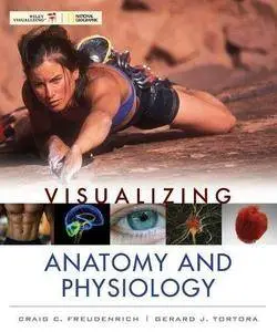 Visualizing Anatomy and Physiology (Repost)