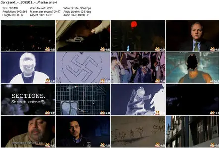 Gangland Season 01 02 03 (TV series)