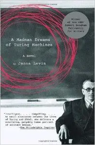 A Madman Dreams of Turing Machines