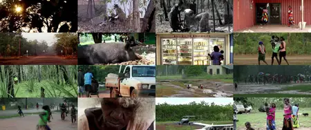 Another Country (2015)