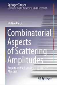 Combinatorial Aspects of Scattering Amplitudes: Amplituhedra, T-duality, and Cluster Algebras (Springer Theses)
