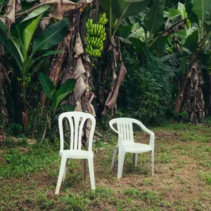 Bad Bunny - DeBÍ TiRAR MáS FOToS (2025) [Official Digital Download]