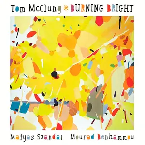 Tom McClung - Burning Bright (2015) [Official Digital Download 24-bit/96kHz]