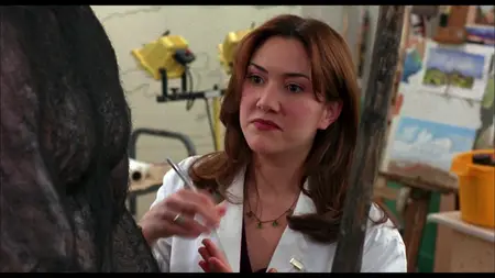 Flirting with Disaster (1996)
