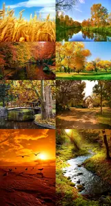 Autumn collection raster graphics - 2