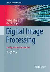 Digital Image Processing: An Algorithmic Introduction (Repost)
