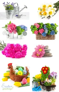 Flowers and bouquets on a white background Flowers and bouquets on a white background