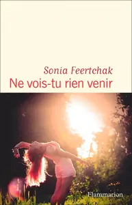 Sonia Feertchak, "Ne vois-tu rien venir"