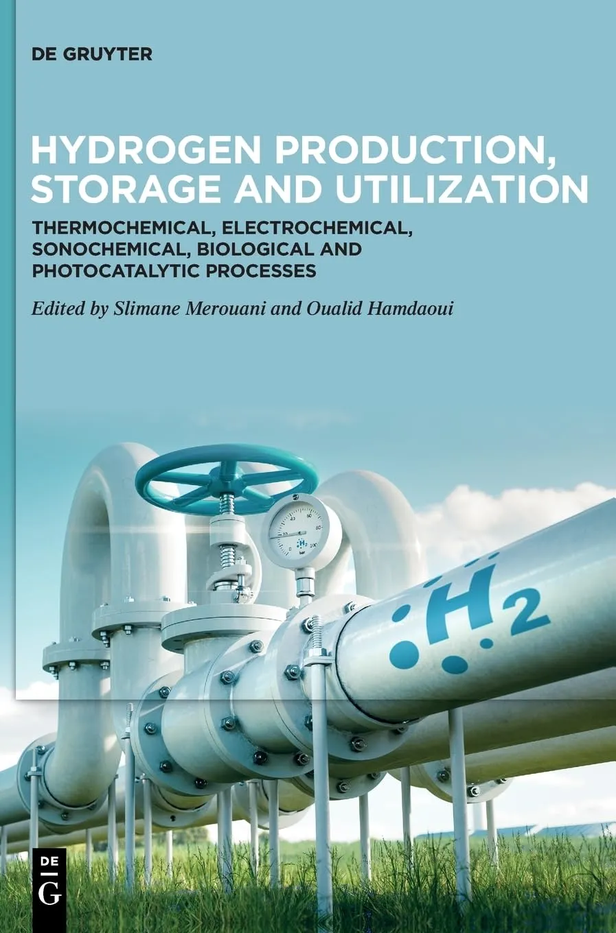 Hydrogen Production, Storage and Utilization: Thermochemical, Electrochemical