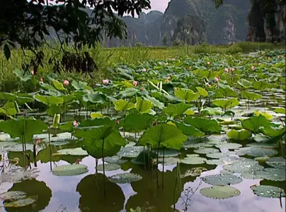 Vietnam, l'amour est au bout du voyage (2025)