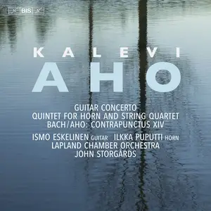 John Storgårds, Lapland Chamber Orchestra - Kalevi Aho: Guitar Concerto, Quintet for Horn and String Quartet (2024)