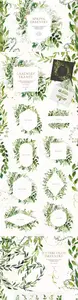 Watercolor Spring Greenery, Foliage & Climbing Plants [PNG PSD]