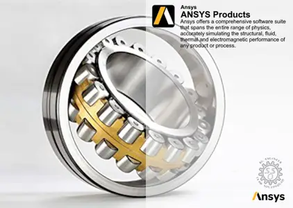 ANSYS Products+ 2025 R1.01 (SP1)