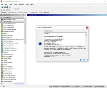 ANSYS Products+ 2025 R1.01 (SP1)