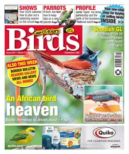 Cage & Aviary Birds - 5 March 2025