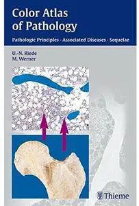 Color Atlas of Pathology: Pathologic Principles, Associated Diseases, Sequela [Repost]