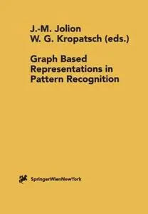 Graph Based Representations in Pattern Recognition