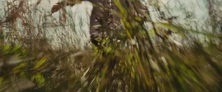 Child 44 (2015)