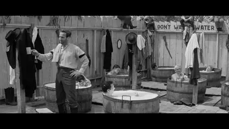 Forty Guns (1957)