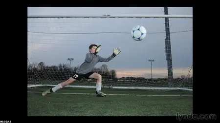 Lighting with Flash: Sports, from Action to Portraits