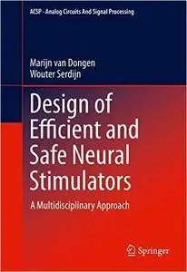 Design of Efficient and Safe Neural Stimulators: A Multidisciplinary Approach