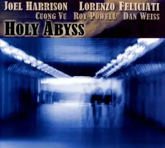 Joel Harrison, Lorenzo Feliciati - Holy Abyss (2012)