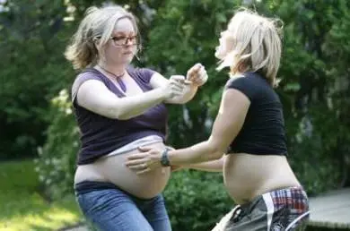 The Baby Formula (2008)