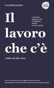 Luca Maniscalco - Il lavoro che c'è. Jobs on the rise