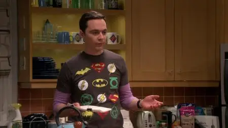 The Big Bang Theory S12E24