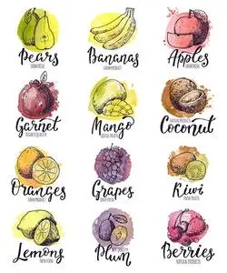 Fruits Watercolor Logo