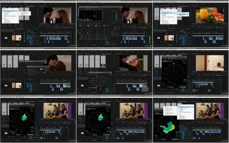 Video2Brain - Premiere Pro CC 2017 Grundkurs 4: Ton bearbeiten und mischen