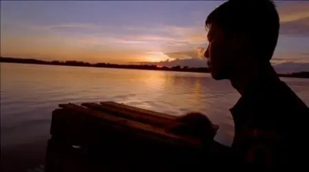 BBC - Natural World: The Orangutan King (2004)