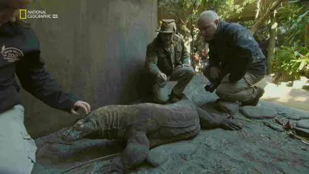 National Geographic - T. rex: Ultimate Survivor (2016)